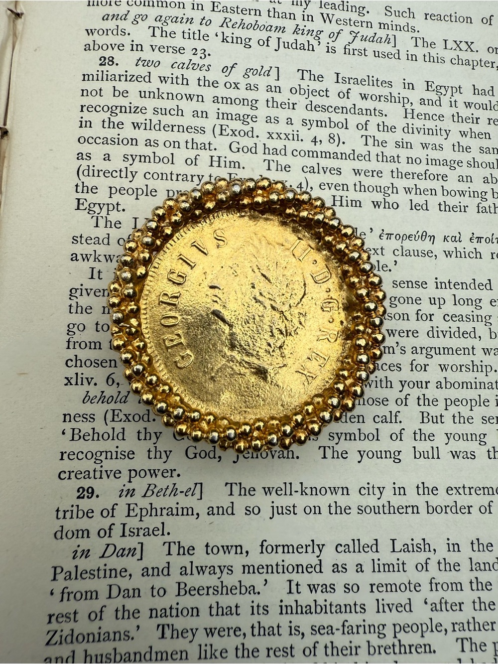 Goldtone brooch/pendant